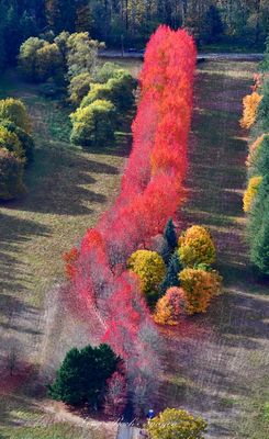 Beautiful Fall Colors at Rockwood Farm, Snoqualmie, Washington 640  