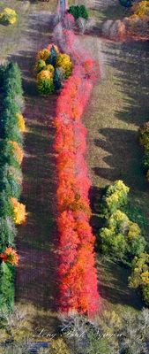 Beautiful Fall Colors at Rockwood Farm, Snoqualmie, Washington 721 