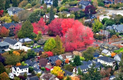 College Street Park, Mount Baker neighborhood, Seattle, Washington 1338 Standard e-mail view.jpg