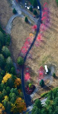 Colorful Tree Covered Driveway at Vistas at Tolt Hill, Carnation, Washington 185 Standard e-mail view.jpg