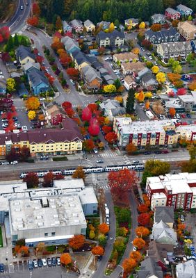 Rainier Vista Neighborhood, Seattle, Washington 449 Standard e-mail view.jpg