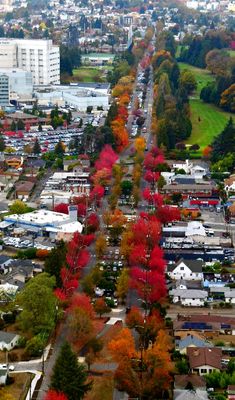 Chief Sealth Trail, Beacon Ave in the Fall,  Seattle, Washington 402 