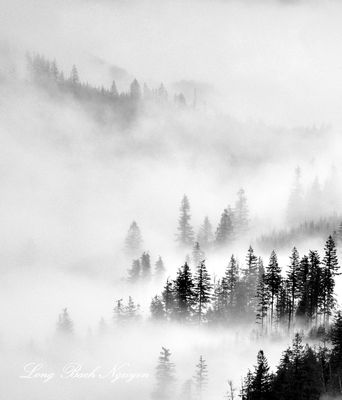 Morning fog between Haystack Mtn and Mt Persis, Gold Bar, Washington 138b