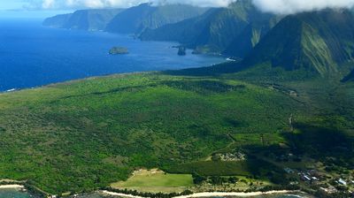 Cliff of Molokai, Kalaupapa, Kauhako Crater, Molokai, Hawaii 316 