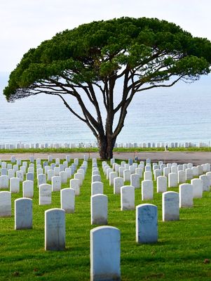 Fort Rosecrans National Cemetery, Point Loma, San Diego, California 002  