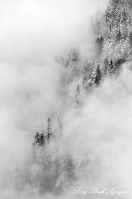 Winter Landscape on North Preacher Mountain, Cascade Mountains, Washington 358  