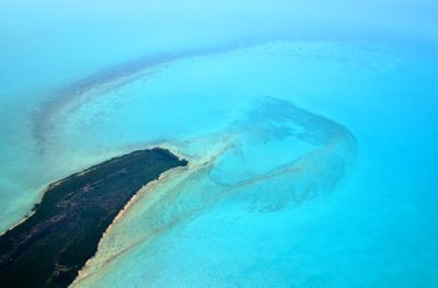Coral Reef Around San Andros Island, The Bahamas 166  