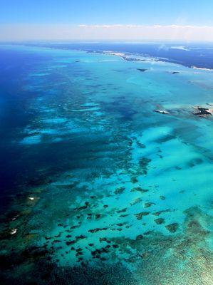 Andros Island and Coral around Island and Tongue of the Ocean, The Bahamas 232 