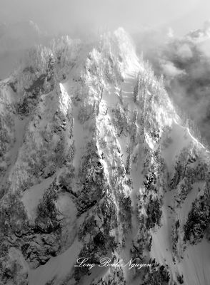 Gibson Peak, Colonel Bob Wilderness, Olympic Mountains, Washington 170a