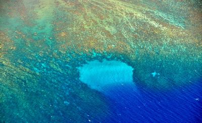 Coral Reef off Molokai, Hawaii 407  