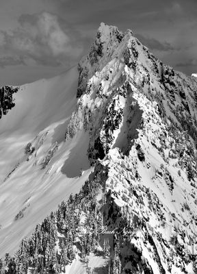 Gunnshy Peak, Cascade Mountains, Washington 041  