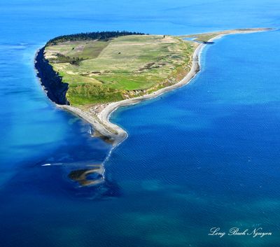 Protection Island, Strait of Juan de Fuca, Diamond Point, Washington 087  