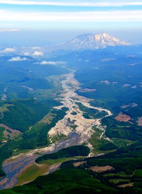 Mount St. Helens National Volcanic Monument, Hoffstadt Creek, North Fork Toutle River, Washington 469