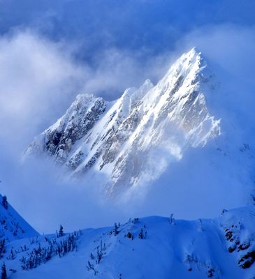 Hidden West Peak on Mount Anderson, Olympic Mountains, Washington 344  