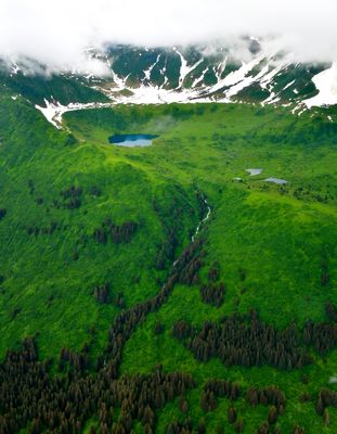 Landscape in the Wrangell St Elias National Park, Yakutat, Alaska 1090  