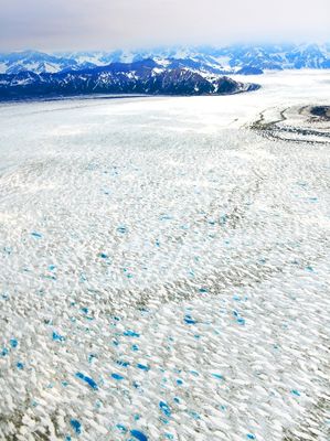 Malaspina Glacier,Samovar Hills,  Seward Glacier, Mount Augusta,  Wrangell-St Elias National Park, Alaska 1153 