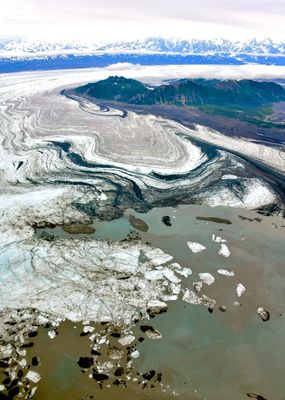 Bering Glacier, Steller Glacier, Grindle Hills, Waxell Ridge, Alaska 1329  