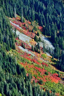 Autumn Colors on El Capitan Peak, Washington 564 