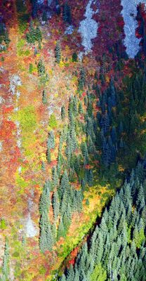 Windy Mountain with Fall Foliage, Washington 698  