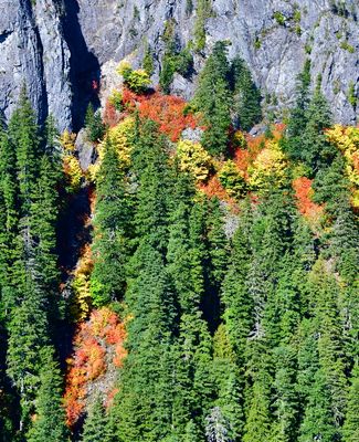 Fall Colors around Wubblesworth Peak, Cascade Mountains, Washington 151 