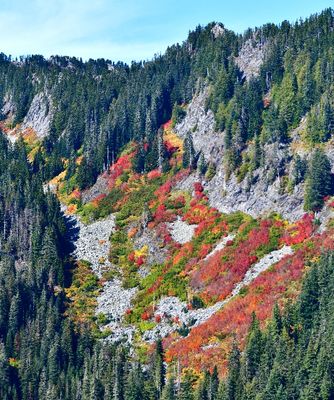 Fall Foliage on Ragged Ridge, Cascade Mountains, Washington 203  