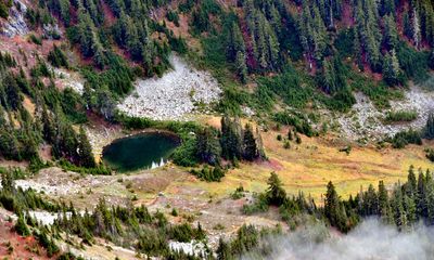 Ground Foliage and Lake on Mount Henderson, Olympic National Forest, Washington 360  