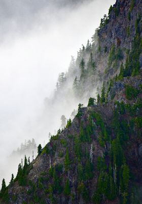 Vertical Cliff on Mount Duckabush, Washington 492 
