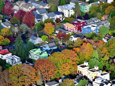 Fall Colors in Mount Baker Neighborhood, Seattle, Washington 100  