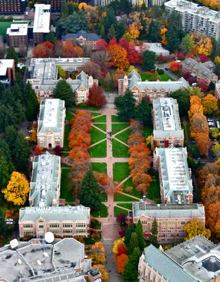 University of Washington The Quad in Autumn of 2023, Seattle, Washington 264 