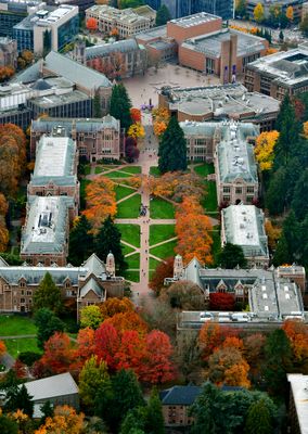 University of Washington Campus and The Quad in Autumn of 2023, Seattle, Washington 239  