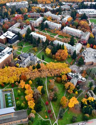 University of Washington Campus and The Quad in Autumn of 2023, Seattle, Washington 252 