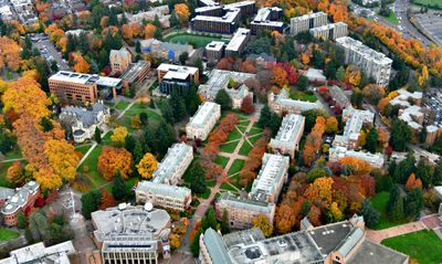 University of Washington Campus and The Quad in Autumn of 2023, Seattle, Washington 267  