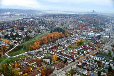 Fall Foliage over Beacon Hill Neighborhood, Boeing Field, Seattle, Puget Sound, Washington 
