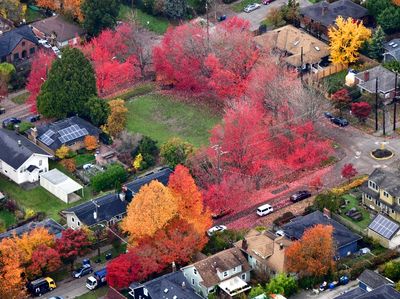 Little Park in Rainier Valley, Seattle, Washington 014  