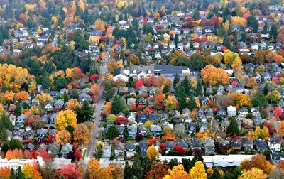 Fall Foliage in North Capitol Hill Neighborhood, Seattle, Washington 167  