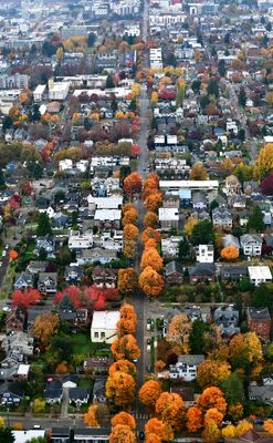 E Yesler Way with Fall Foliage, Seattle, Washington 019  