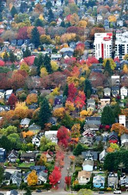 Fall Colors in Central District, Seattle, Washington 034  