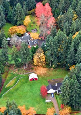 Fall foliage in Cottage Lake area, Washington 1041 