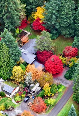 Autumn Colors in Duvall, Washington 
