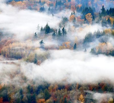 Fog covered Snoqualmie River Valley, Duvall, Washington 829 