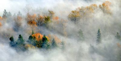 Fall Colors over Union Hill-Novelty Hill, Redmond, Washington 063  