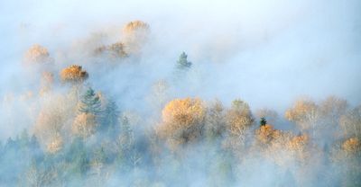 Fall Colors over Union Hill-Novelty Hill, Redmond, Washington 094  