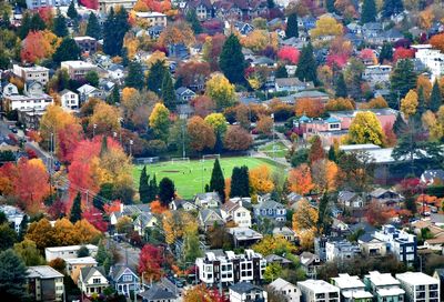 Fall Colors in Central District, Seattle, Washington 038  