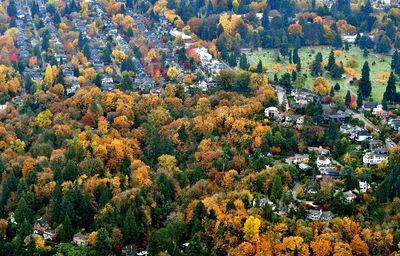 Autumn Colors in Interlake Park, Volunteer Park Cemetery, North Capitall Hill Neighborhood, Seattle, Washington 130 