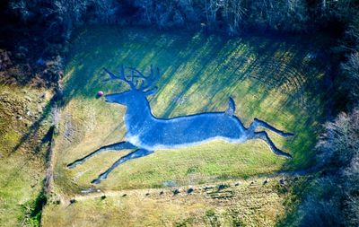 Vashon Island Reindeer, Washington 158 