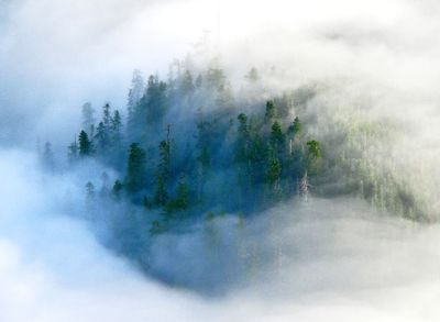 Heavy Fog on Twin Peaks, Cascade Mountains, Washington 1963a 