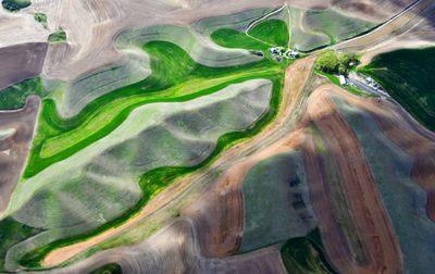 Palouse Hills in Springtime, Alkali Flat Creek, Colfax, Washington 467  