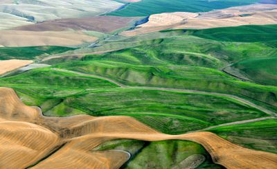 Colorful Landscape on Palouse Hills near Dayton Washington 226