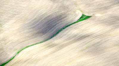 Palouse Hills in Springtime near Pullman, Washington 481  