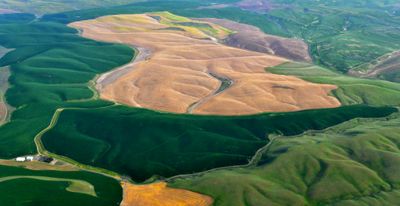 Spring Colors over Palouse Hills near Walla Walla Washington 212  